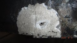 200805 57 Porsche (13).JPG